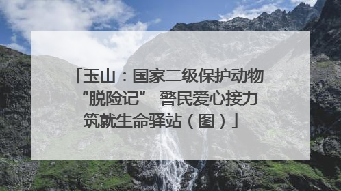玉山：国家二级保护动物“脱险记” 警民爱心接力筑就生命驿站（图）