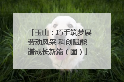 玉山：巧手筑梦展劳动风采 科创赋能谱成长新篇（图）