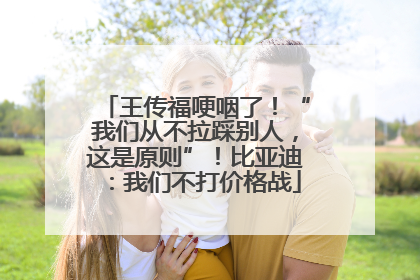 王传福哽咽了！“我们从不拉踩别人，这是原则”！比亚迪：我们不打价格战