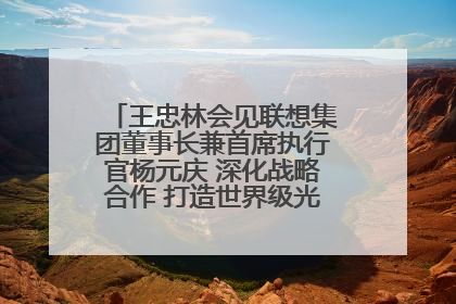 王忠林会见联想集团董事长兼首席执行官杨元庆 深化战略合作 打造世界级光电子信息产业集群