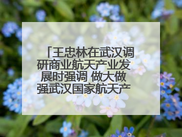 王忠林在武汉调研商业航天产业发展时强调 做大做强武汉国家航天产业基地 打造具有全国影响力的“中国星谷”