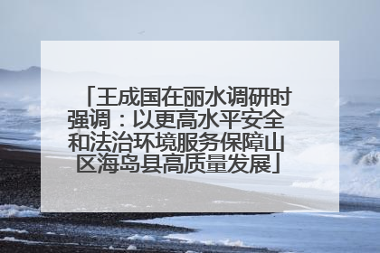 王成国在丽水调研时强调：以更高水平安全和法治环境服务保障山区海岛县高质量发展