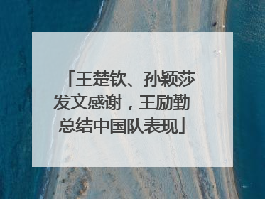 王楚钦、孙颖莎发文感谢，王励勤总结中国队表现