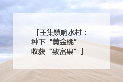 王集镇响水村：种下“黄金桃” 收获“致富果”