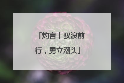 灼言丨驭浪前行，勇立潮头