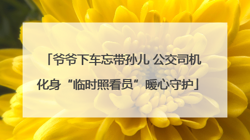 爷爷下车忘带孙儿 公交司机化身“临时照看员”暖心守护