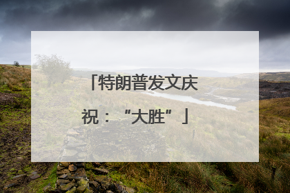 特朗普发文庆祝：“大胜”