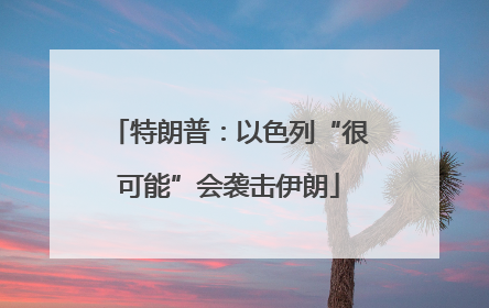 特朗普：以色列“很可能”会袭击伊朗