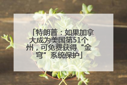 特朗普：如果加拿大成为美国第51个州，可免费获得“金穹”系统保护