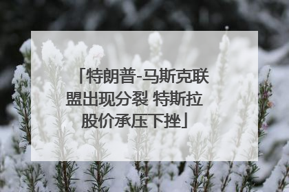 特朗普-马斯克联盟出现分裂 特斯拉股价承压下挫