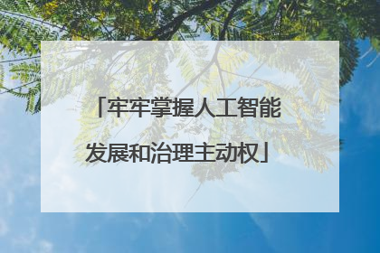 牢牢掌握人工智能发展和治理主动权