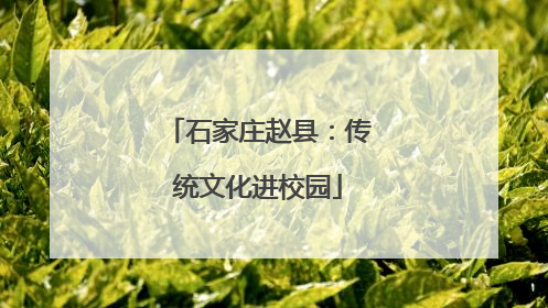 石家庄赵县：传统文化进校园
