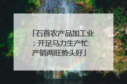 石首农产品加工业：开足马力生产忙 产销两旺势头好