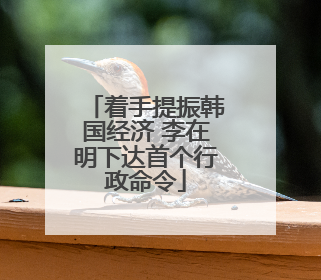 着手提振韩国经济 李在明下达首个行政命令