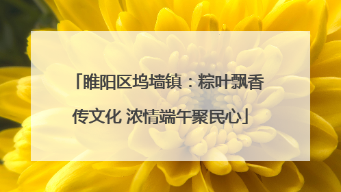 睢阳区坞墙镇：粽叶飘香传文化 浓情端午聚民心