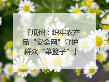 瓜州：织牢农产品“安全网”守护群众“菜篮子”