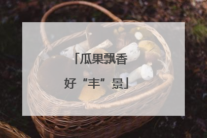 瓜果飘香 好“丰”景