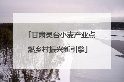 甘肃灵台小麦产业点燃乡村振兴新引擎