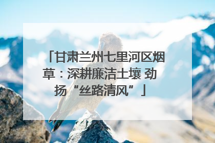 甘肃兰州七里河区烟草：深耕廉洁土壤 劲扬“丝路清风”
