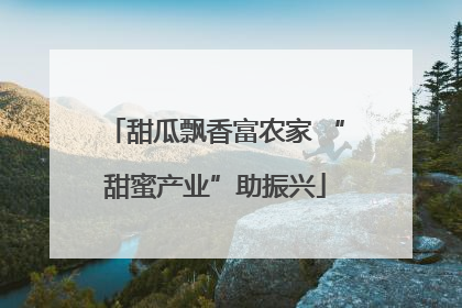 甜瓜飘香富农家 “甜蜜产业”助振兴