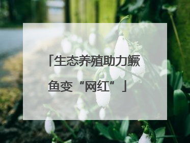 生态养殖助力鳜鱼变“网红”