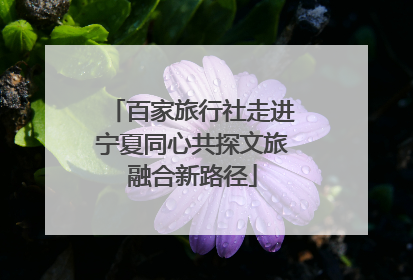 百家旅行社走进宁夏同心共探文旅融合新路径