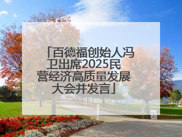 百德福创始人冯卫出席2025民营经济高质量发展大会并发言