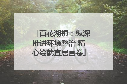 百花湖镇：纵深推进环境整治 精心绘就宜居画卷