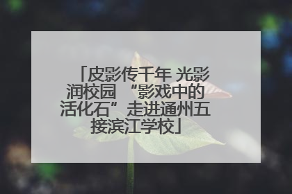 皮影传千年 光影润校园 “影戏中的活化石”走进通州五接滨江学校