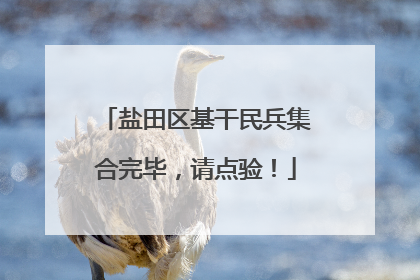 盐田区基干民兵集合完毕，请点验！