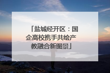 盐城经开区：国企高校携手共绘产教融合新图景