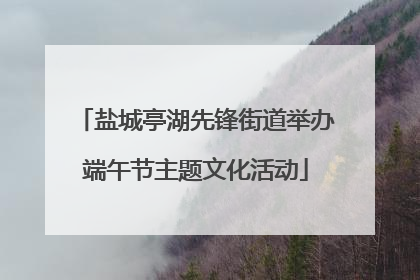 盐城亭湖先锋街道举办端午节主题文化活动