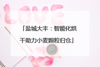 盐城大丰：智能化烘干助力小麦颗粒归仓