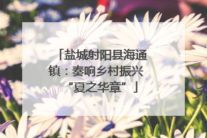 盐城射阳县海通镇：奏响乡村振兴“夏之华章”