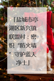 盐城市亭湖区新兴镇联盟村：密织“防火墙”守护蓝天净土