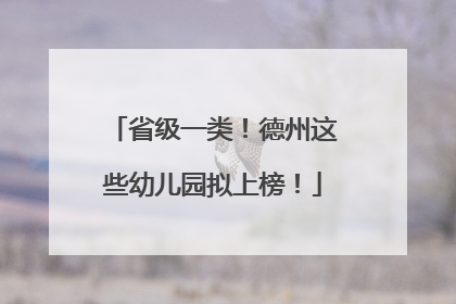 省级一类！德州这些幼儿园拟上榜！