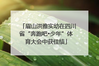 眉山洪雅实幼在四川省“奔跑吧•少年”体育大会中获佳绩