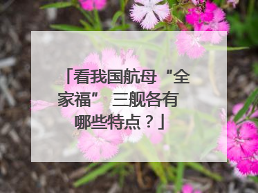 看我国航母“全家福” 三舰各有哪些特点？