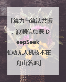 算力与算法共振：浪潮信息携 DeepSeek 推动无人机技术在舟山落地
