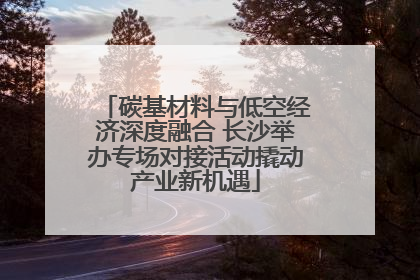 碳基材料与低空经济深度融合 长沙举办专场对接活动撬动产业新机遇