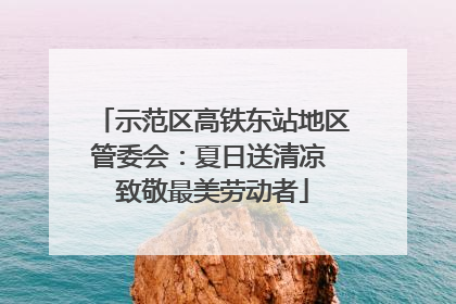 示范区高铁东站地区管委会：夏日送清凉 致敬最美劳动者