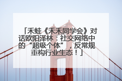 禾蛙《禾禾同学会》对话欧阳泽林：社交网络中的“超级个体”，反常规重构行业生态！