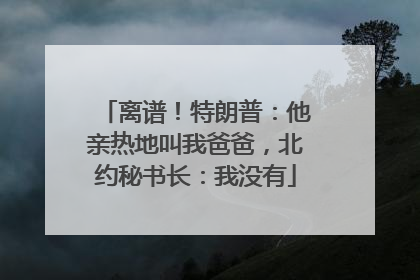 离谱！特朗普：他亲热地叫我爸爸，北约秘书长：我没有