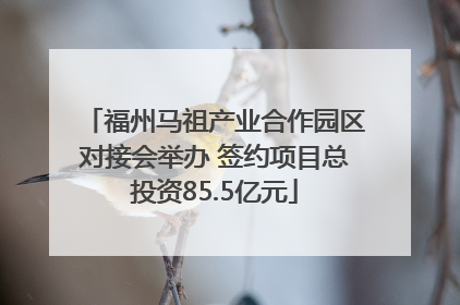 福州马祖产业合作园区对接会举办 签约项目总投资85.5亿元