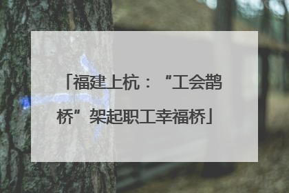 福建上杭：“工会鹊桥”架起职工幸福桥