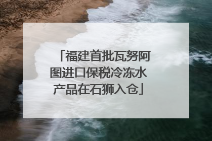 福建首批瓦努阿图进口保税冷冻水产品在石狮入仓