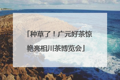 种草了！广元好茶惊艳亮相川茶博览会