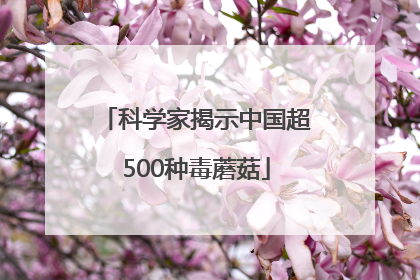 科学家揭示中国超500种毒蘑菇