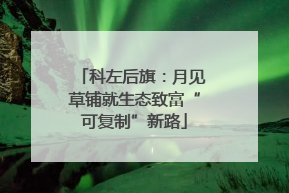 科左后旗：月见草铺就生态致富“可复制”新路