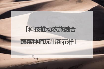 科技推动农旅融合 蔬菜种植玩出新花样